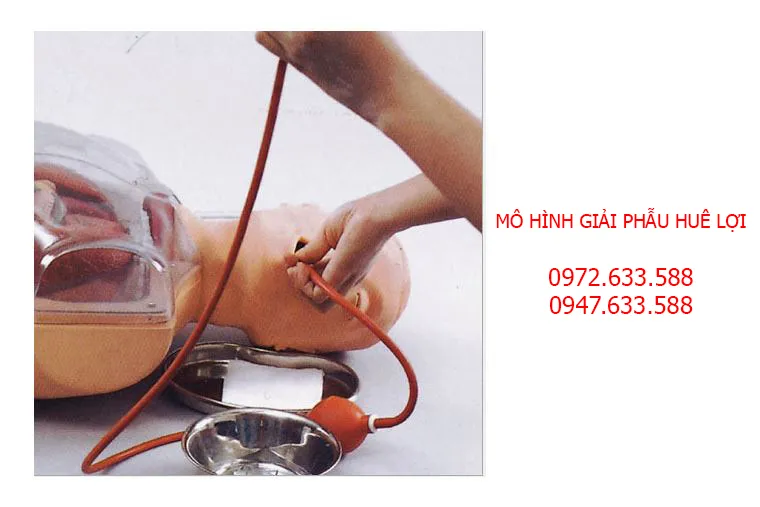 Mô hình thực hành rửa dạ giày