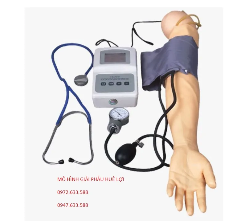 Mô hình đo huyết áp và tiêm truyền tĩnh mạch