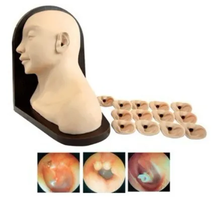 Mô hình thực tập khám tai