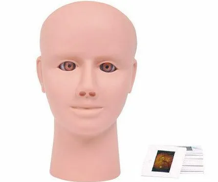 Mô hình thực hành khám mắt