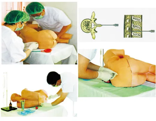 Mô hình chọc dò tủy sống