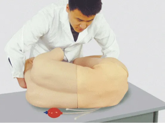 Mô hình chọc dò tủy sống