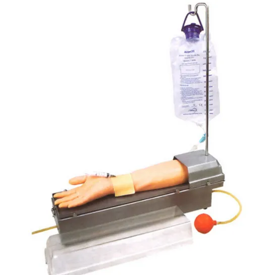 Mô hình tiêm và lấy máu động mạch