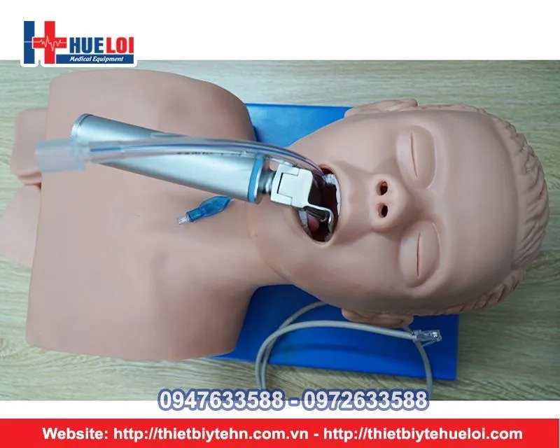 Mô hình đặt nội khí quản: thông số kỹ thuật Chất liệu: + Cao su nhiệt dẻo + Nhựa PVC cao cấp Tỷ lệ: 1:1 so với thực tế Kích thước: 58x37x29cm Trọng lượng: 7kg 3. Bảo hành: 12 tháng