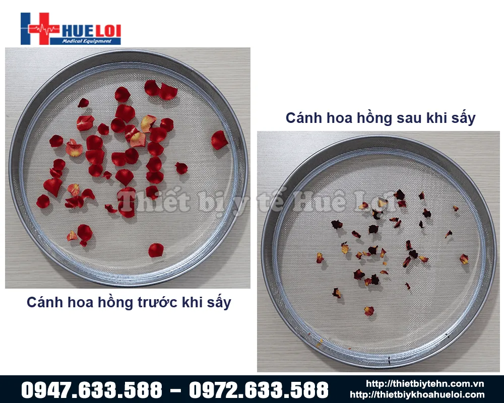 Hình ảnh thực tế