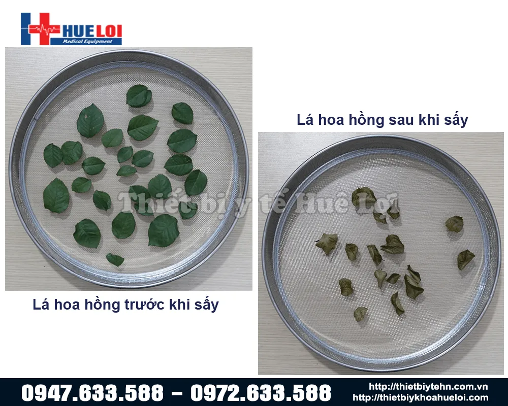 Hình ảnh thực tế