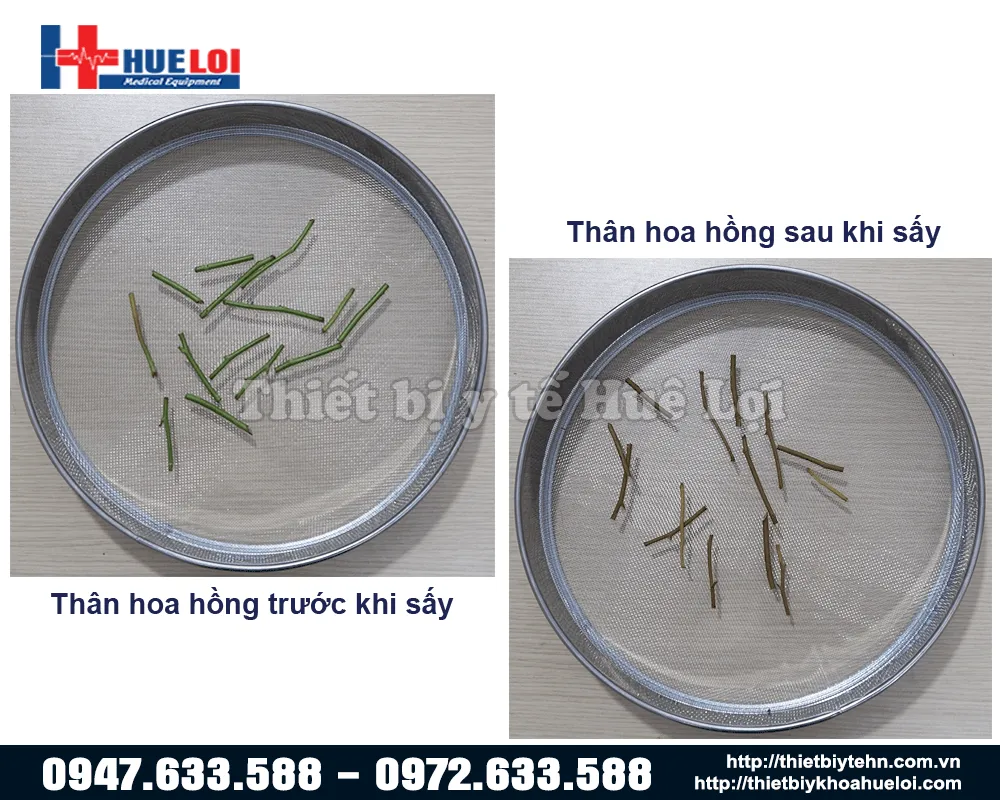 Hình ảnh thực tế