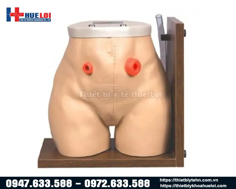 Mô hình thực hành chăm sóc hậu môn nhân tạo
