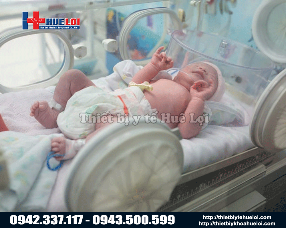 Chăm sóc trẻ sơ sinh bằng lòng ấp yp 2000