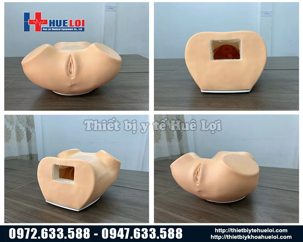 Mô hình khám phụ khoa