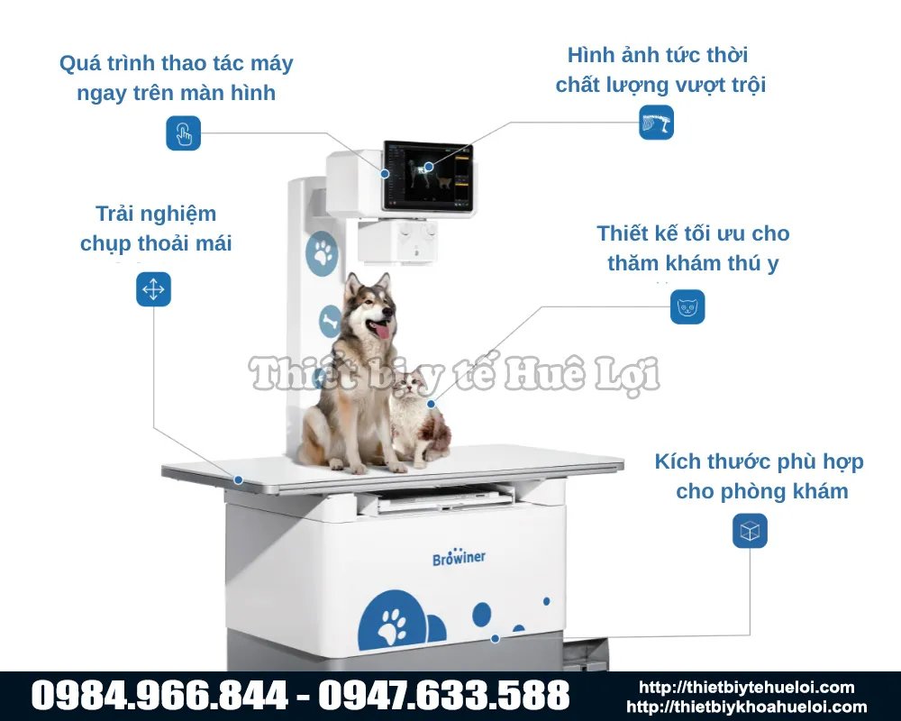 Máy chẩn đoán hình ảnh động vật cố định