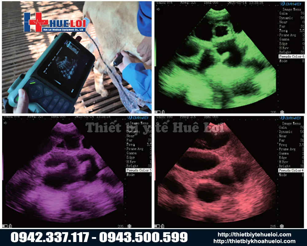 Máy siêu âm thai cho lợn nái