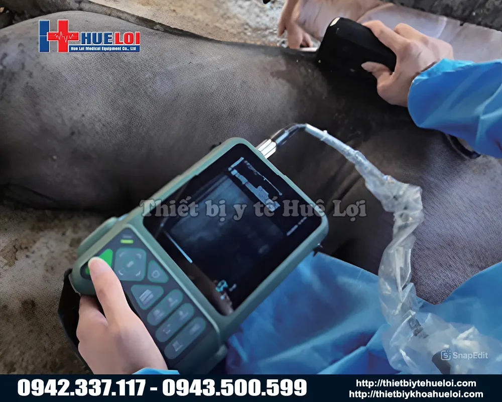 Máy siêu âm thai cho heo di động