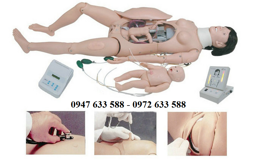 Cung cấp cao cấp của mô hình thực thi