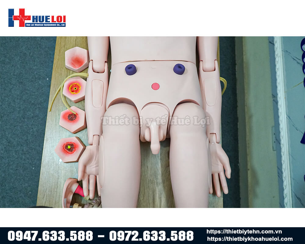 Mô hình chăm sóc bệnh nhân