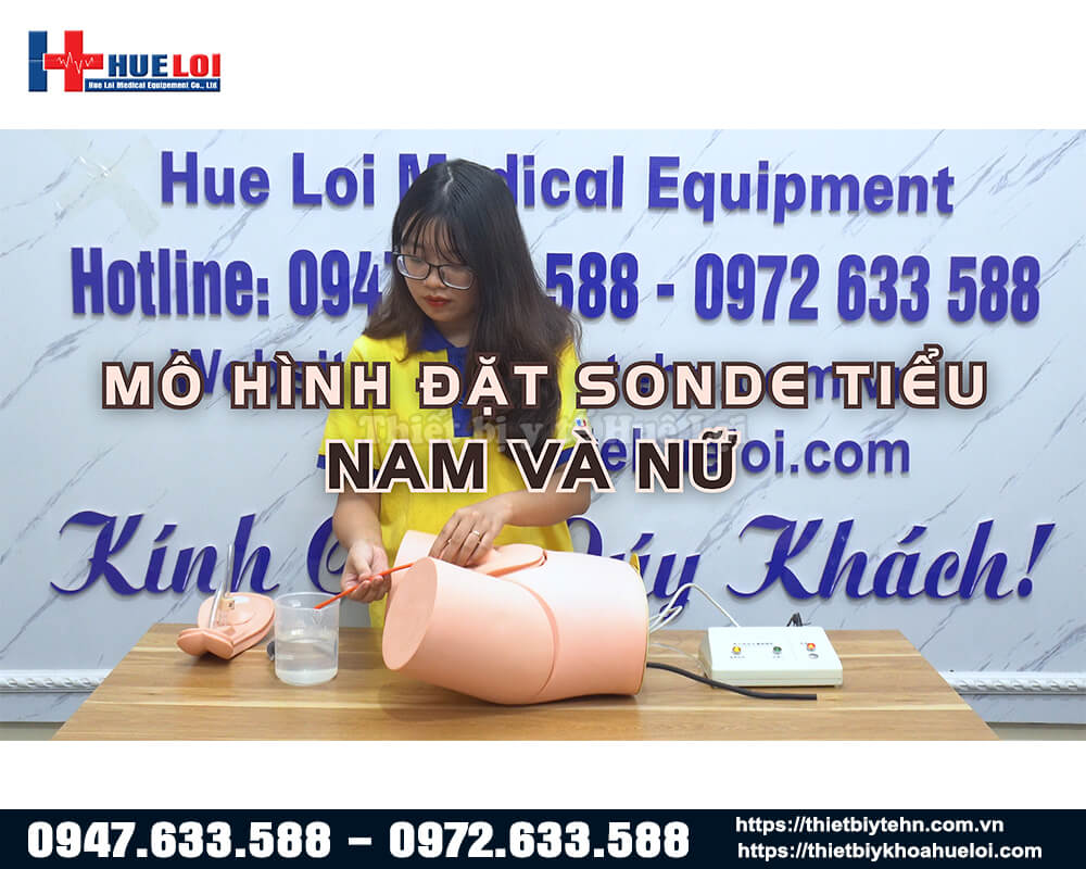 mô hình thực hành thiết lập sonde tiểu nam nữ