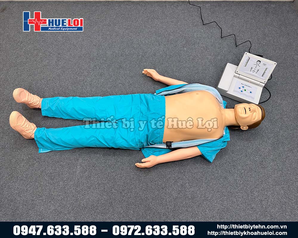 mô hình hồi sinh tim phổi