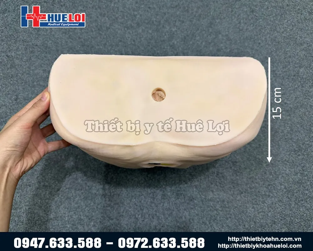 Cùng một cụ cụ vết thương mô hình kích thước