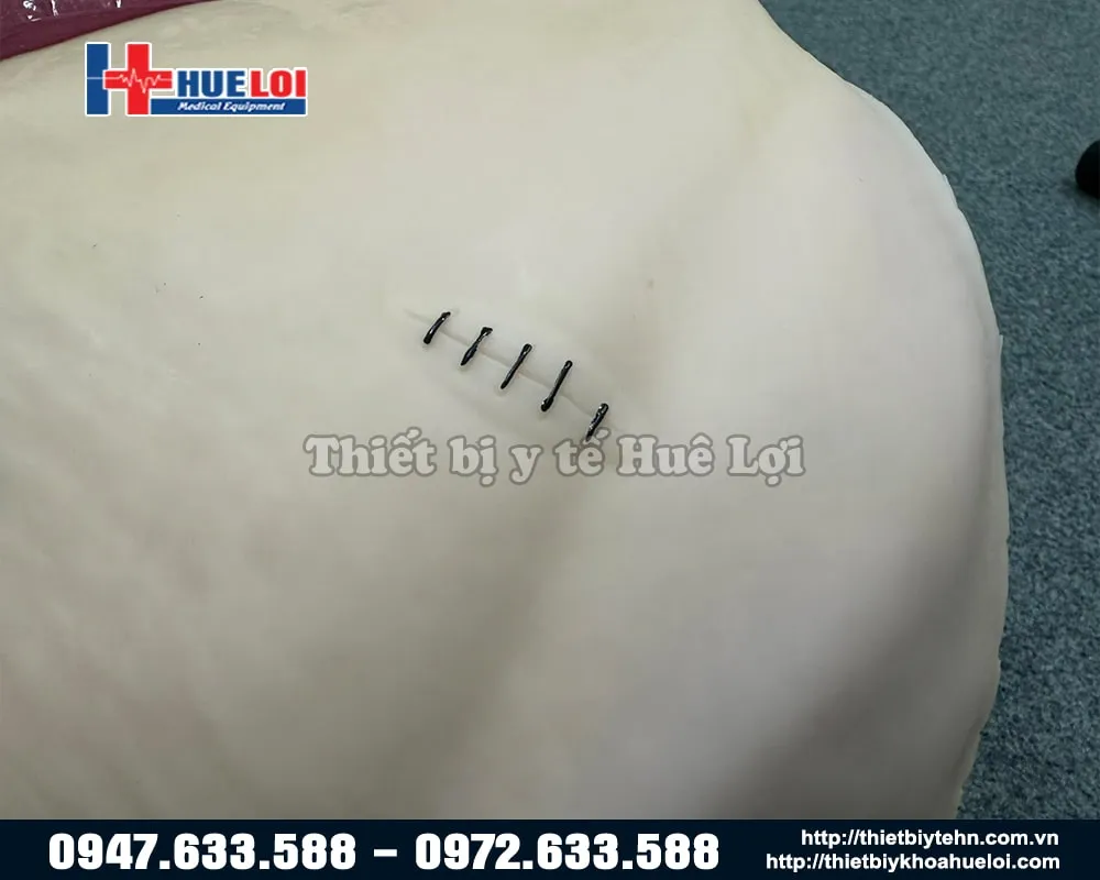 Chi tiết mô phỏng vết khâu trên mô hình vết thương vùng cùng cụ